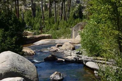 DSC_3787 (Large).JPG